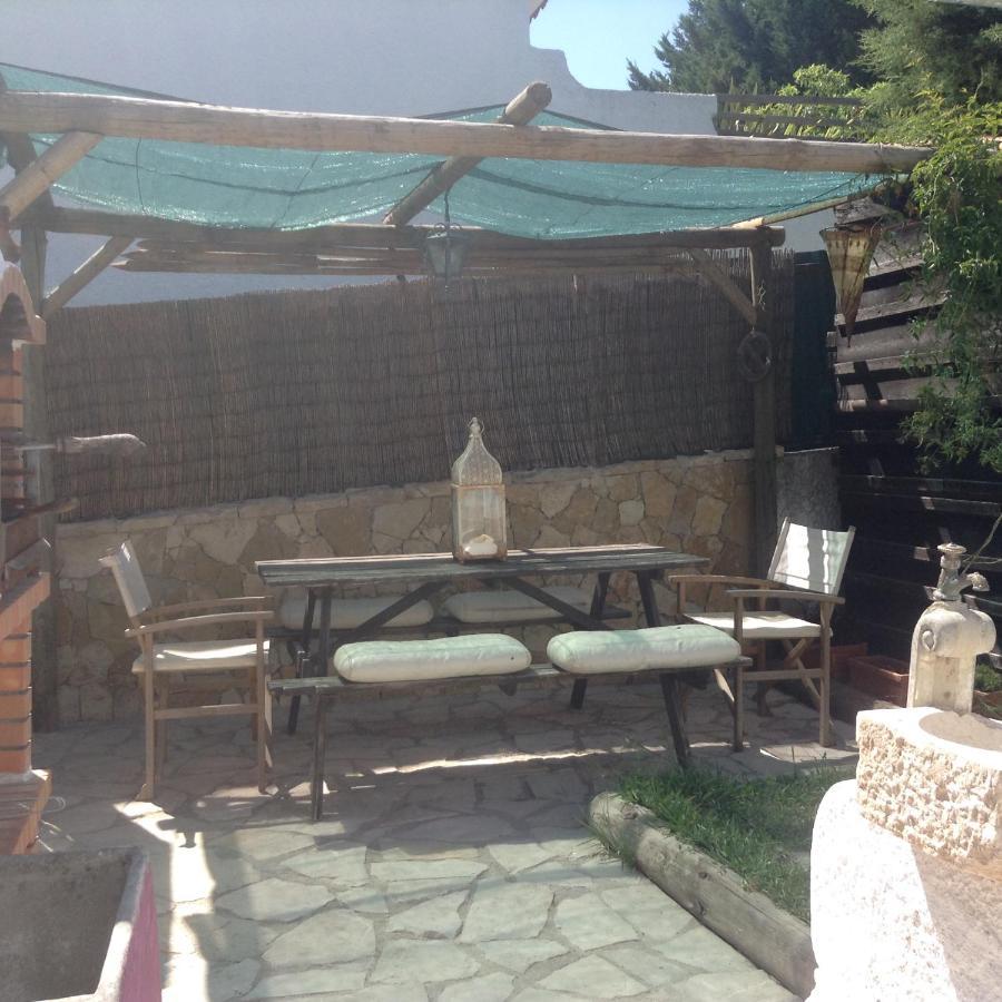 Casa Dos Cedros Guest House เซตุบาล ภายนอก รูปภาพ